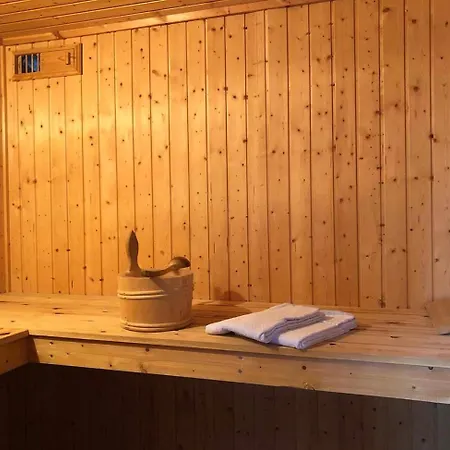 Wildgans 41 ميرو